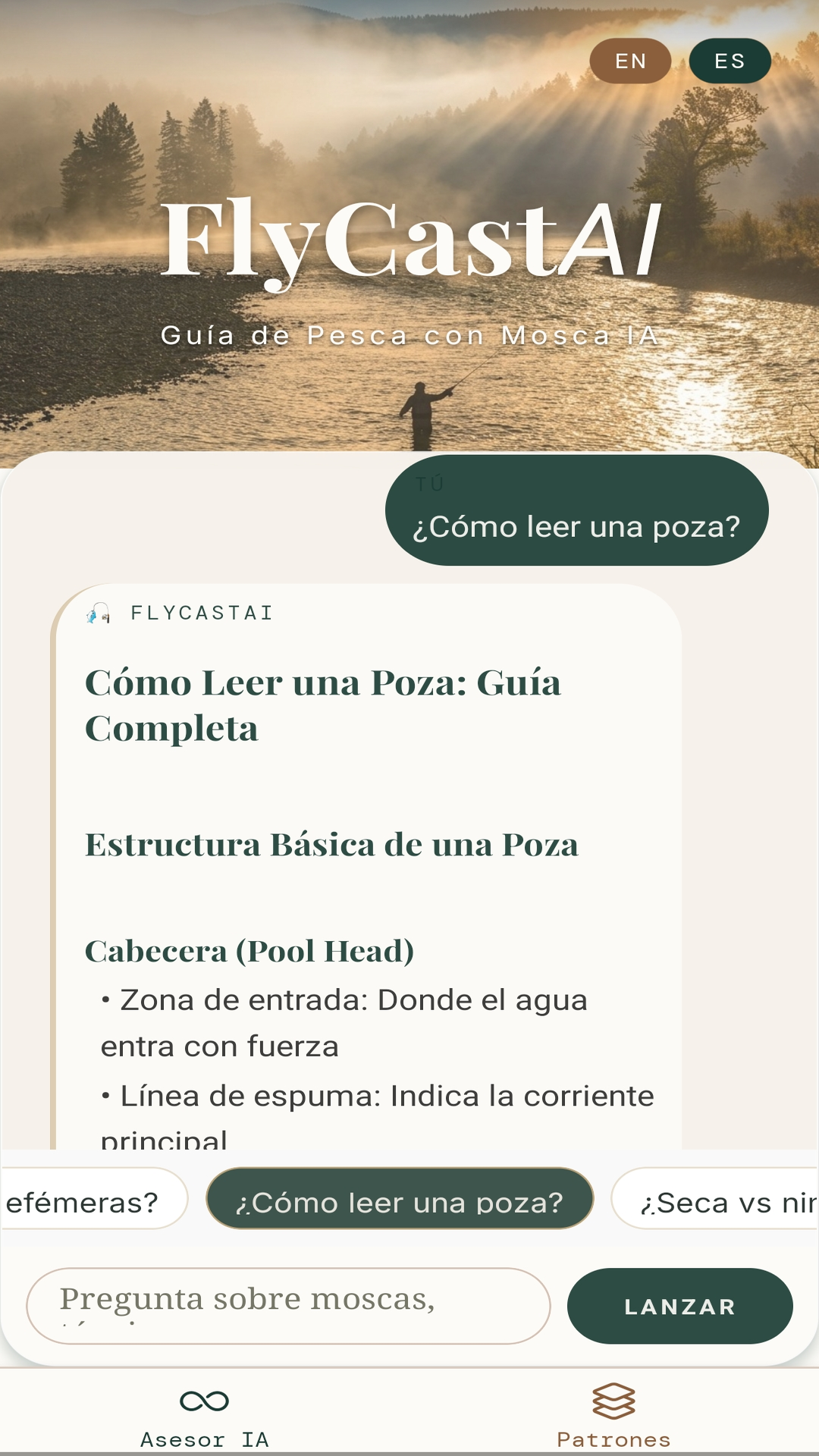 Asesor IA en Español